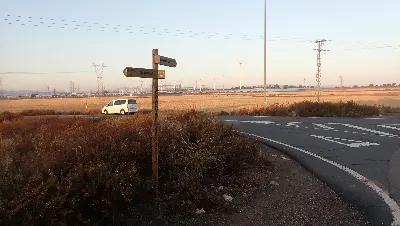 010