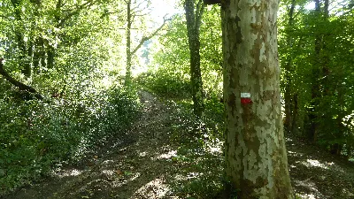 Trek-bi  2-2