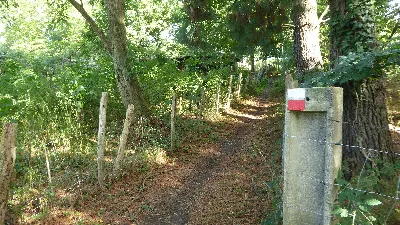 Trek-bi  2-6