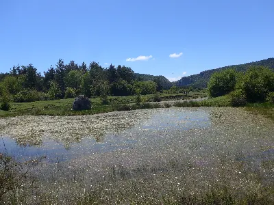 Balsas de Sasi