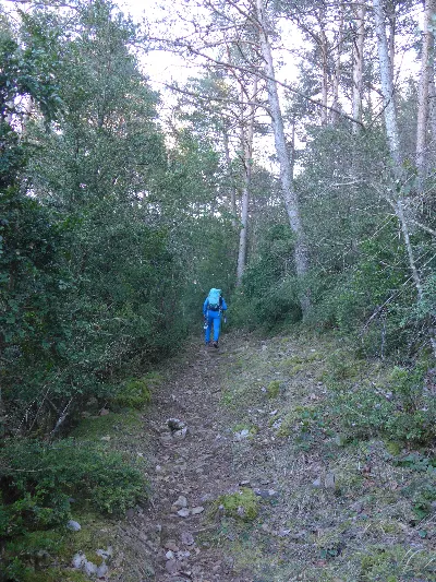 Subiendo de Burgui - Larra - V. Peña II