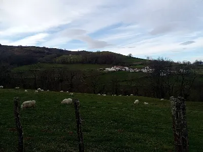 GOROSTAPOLO