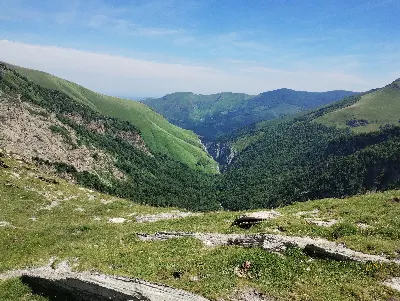 Kakuetako arroila Arrakogoititik/Gargantas de Kakueta desde Arrakogoiti