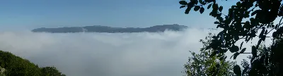 Aralar