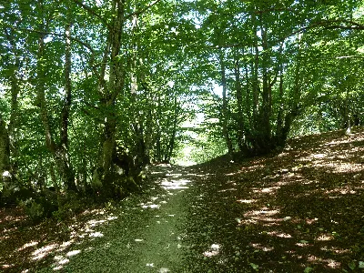 Subida a San Donato Igoera