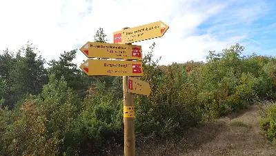 PA125417