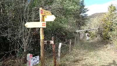 PA125430