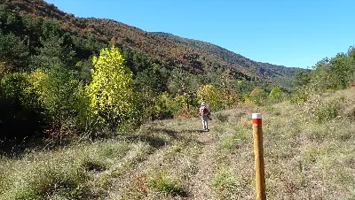 PA125481