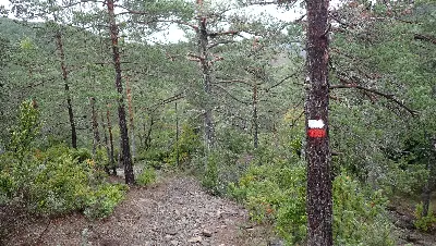 PA205506