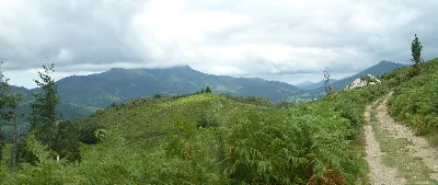 Larun entre nieblas