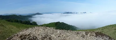 Malerreka lainopean/Bajo la niebla