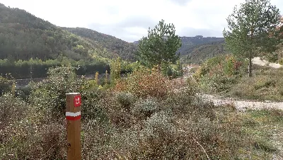 PA245659