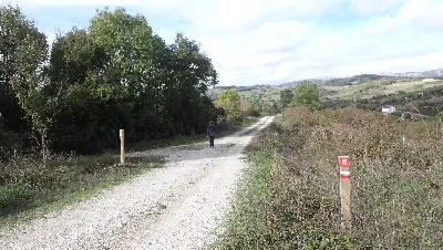 PA245728