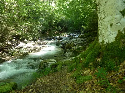 Berroeta erreka
