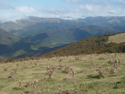 Iratiko Oihana eta Irabia uharka/Selva de Irati y pantano de Irabia