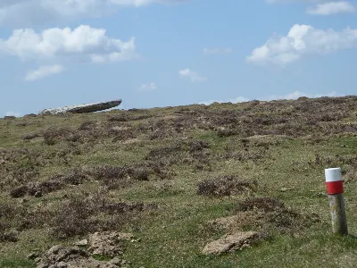 Harrizabala zutarria/menhir