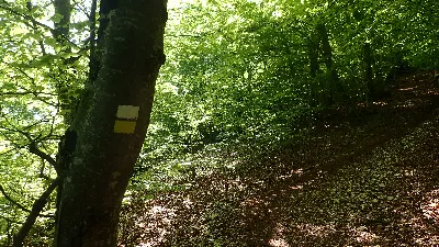 113
