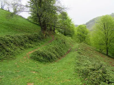 Camino verde