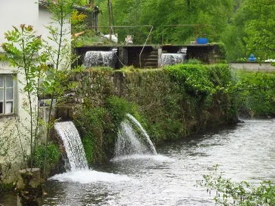 Urepel