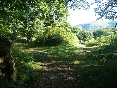 Camino de Urbilloko bidea
