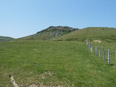 Argintzuko lepoa