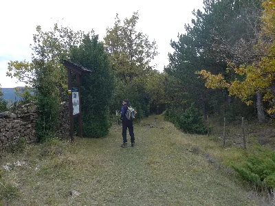 Panel en la borda de las vacas