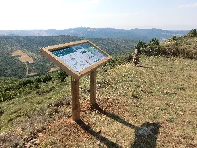 Vista panorámica