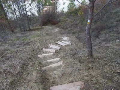 Ruta del Zumaque 2