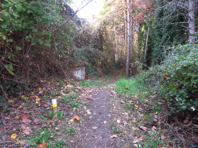 Ruta del Zumaque 3