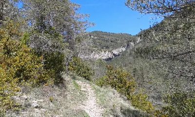 LIZANZOREA