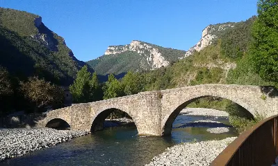 Burgi