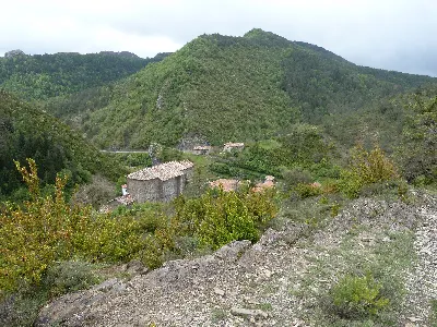 Bidankoze