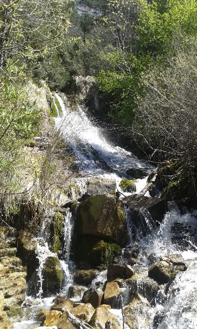 Camino de Aizarituko bidea