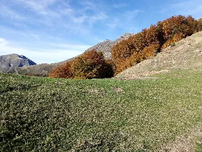 Otsogorrigaina y Kartxela