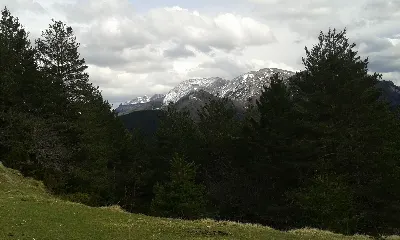 Ezkaurre eta Alanoak