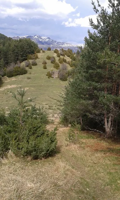 Martiaberroa