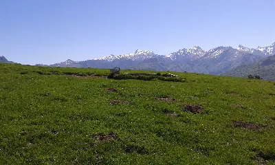Larra