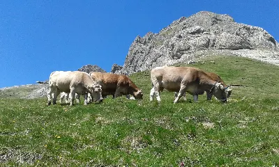 Estribaciones de Lakartxela