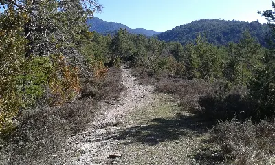 Mariañe