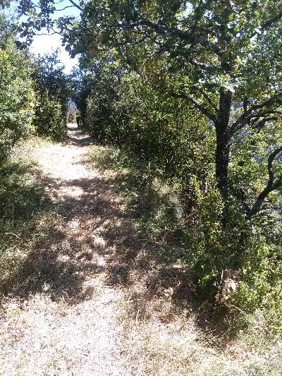 Camino de Kakueta