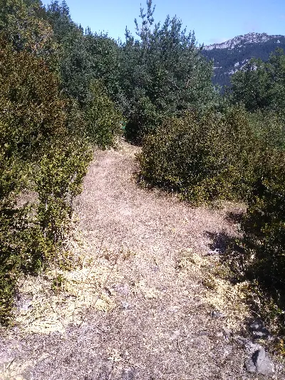 Larratza begibistan/Larratza en el horizonte