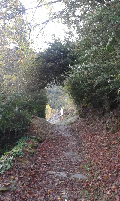 Udazkena/Otoño