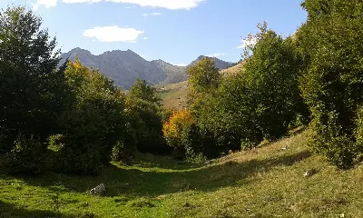 Lakartxela