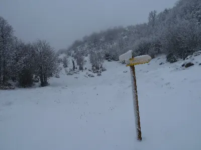 Negu gorria/El crudo invierno