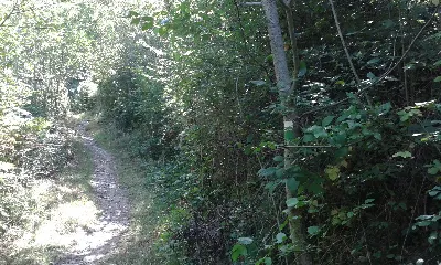 Camino Belabarzeko bidea