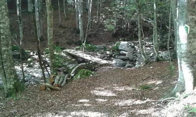 Pagadia/Hayedo