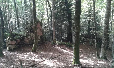Itzalpean/a la sombra