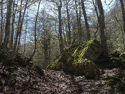 Udaberria/Primavera