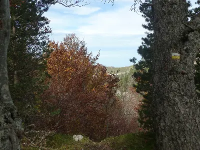 Zanpori