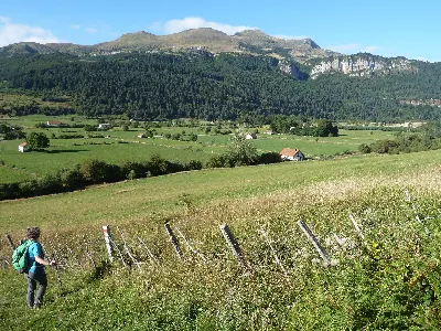 Lakora